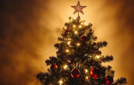 &Aacute;rvore de natal.