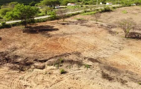 &Aacute;rea degradada no bioma da caatinga.