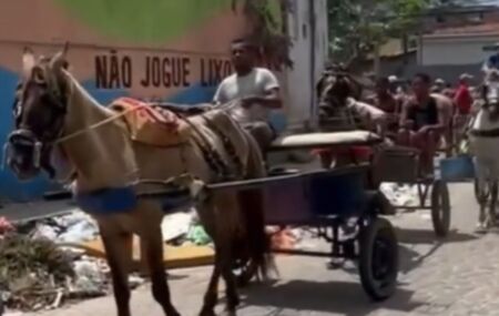 Carroceiros do Recife iniciando protesto nesta segunda-feira, 17 de novembro.