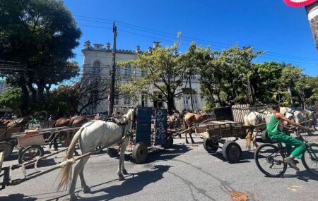 Protesto dos carroceiros no centro do Recife.