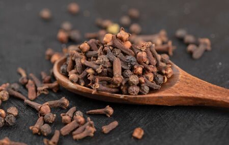 Cravo-da-&Iacute;ndia &eacute; usado como tempero e tamb&eacute;m como aliado natural para fortalecer o sistema imunol&oacute;gico e melhorar a digest&atilde;o.