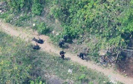 Momento em que policiais s&atilde;o surpreendidos com disparos.