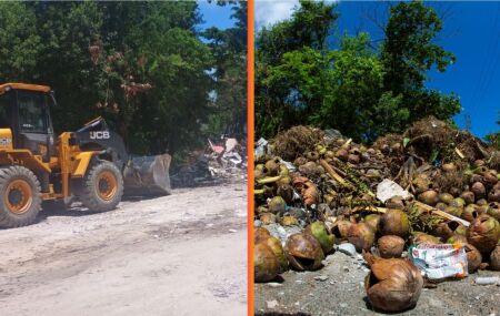 Entulhos no Mangue em Boa Viagem no Recife 