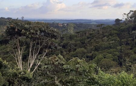 Foto Mata Aldeia, APA Aldeia-Beberibe