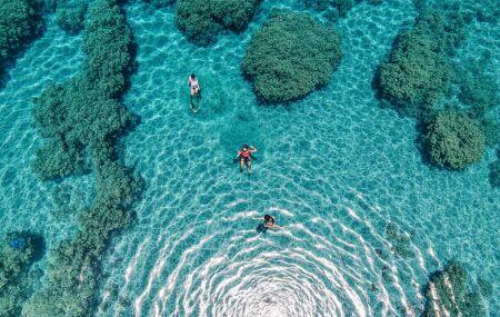 Maragogi &eacute; o destino mais cobi&ccedil;ado do ver&atilde;o. 