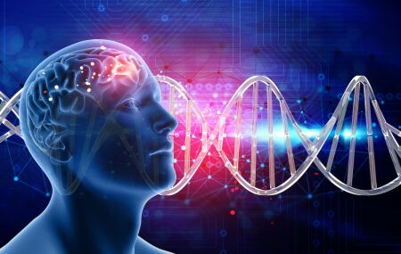 Aumentar a ocitocina naturalmente pode transformar sua sa&uacute;de mental e emocional. 