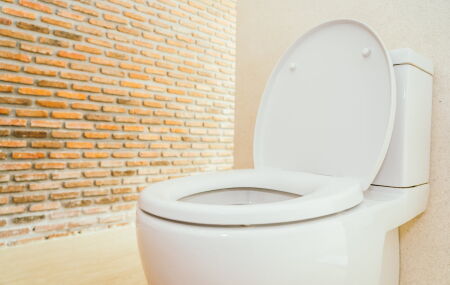 Dar descarga com a tampa do vaso aberta libera part&iacute;culas contaminantes e germes. 