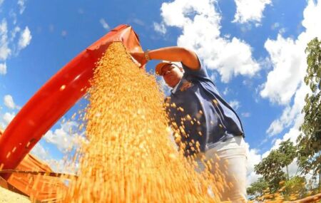 Petrolina &eacute; eleita a melhor cidade para o agroneg&oacute;cio. 