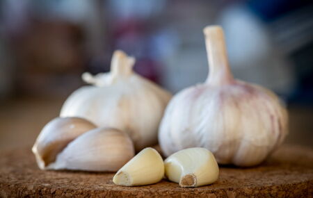 O alho &eacute; um poderoso aliado natural para o sistema imunol&oacute;gico. 