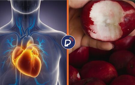 Benef&iacute;cios do jambo para a sa&uacute;de cardiovascular