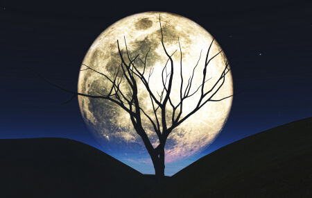 Superlua de dezembro de 2025 vista no horizonte, o momento ideal para observa&ccedil;&atilde;o.