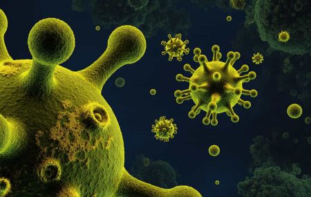 Gripe K chega ao Brasil e gera alerta global. 