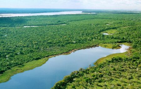 Ilha do Bananal, no Brasil, &eacute; a maior ilha fluvial do mundo, com 20 mil km². 