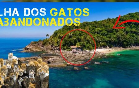 Conhe&ccedil;a a Ilha dos Gatos, em S&atilde;o Sebasti&atilde;o: mans&atilde;o abandonada, mar transparente e ru&iacute;nas misteriosas. 