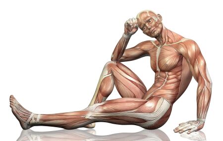 Representa&ccedil;&atilde;o de um corpo humano