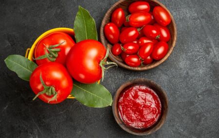 Tomates frescos ao lado de um molho pronto, mostrando as diferentes formas de uso do tomate na cozinha do dia a dia.