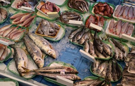 Variedade de peixes frescos que podem contribuir para a sa&uacute;de do cora&ccedil;&atilde;o.