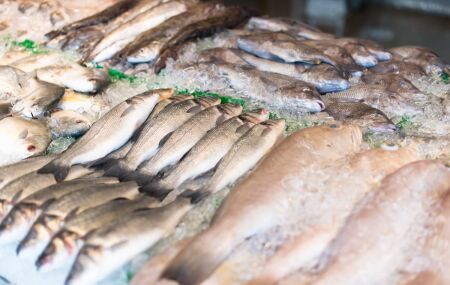 Peixes ricos em &ocirc;mega-3, como sardinha e cavala, oferecem benef&iacute;cios superiores ao salm&atilde;o, com pre&ccedil;o mais baixo. 