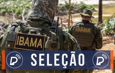 Sele&ccedil;&atilde;o IBAMA. 