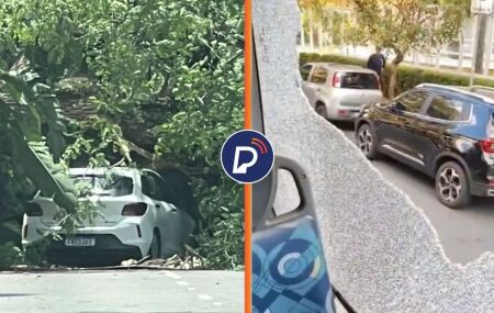 Impactos causadaos por vendaval em S&atilde;o Paulo.