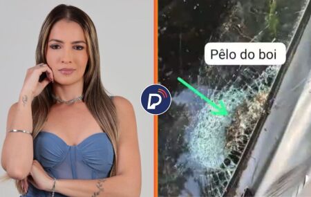 Cantora de brega fica ferida ap&oacute;s colis&atilde;o com bois na Estrada do Socorro.