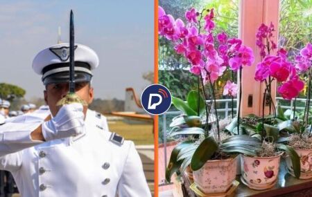 FAB vai gastar mais de R$ 413 mil com arranjos e coroas de flores.