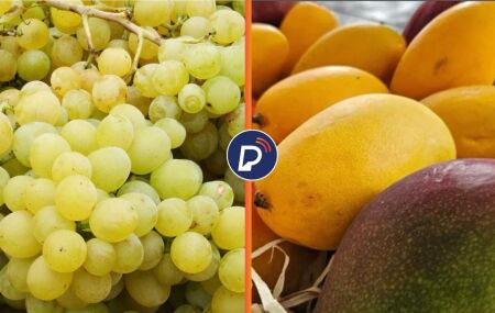 As estrelas do Sert&atilde;o Pernambucano.