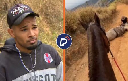 Homem que mutilou cavalo &eacute; preso em opera&ccedil;&atilde;o.