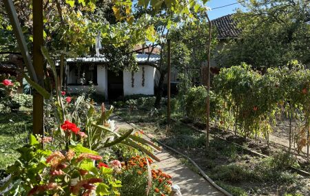 Tend&ecirc;ncia: Casa com muito verde para afastar o stress.