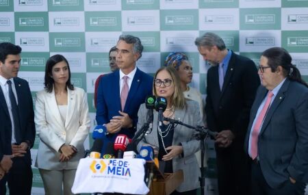 Parlamentares da Frente Parlamentar Mista da Educa&ccedil;&atilde;o