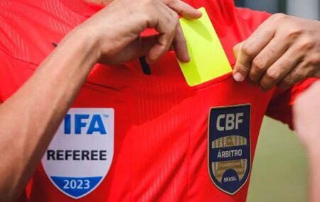 Profissionaliza&ccedil;&atilde;o da arbitragem.