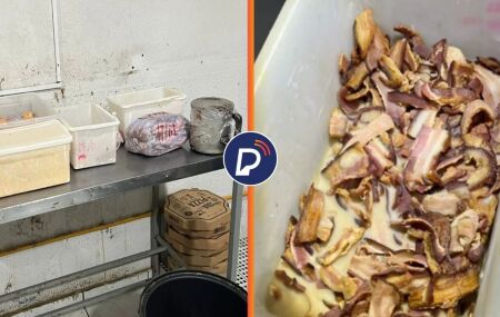 Registros internos dos alimentos usados pela pizzaria.