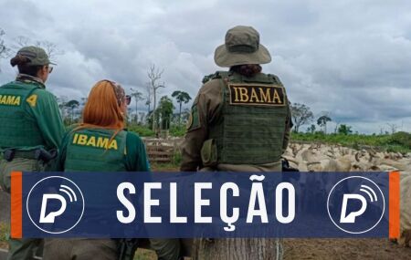 Sele&ccedil;&atilde;o do Ibama. 