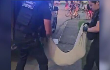 Cachorro n&atilde;o sobreviveu a queda.