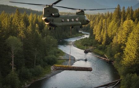 Helic&oacute;pteros lan&ccedil;am troncos em rios em projeto de restaura&ccedil;&atilde;o ambiental. 