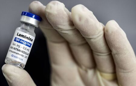 Polilaminina: cientistas pedem cautela sobre mol&eacute;cula testada no tratamento de les&otilde;es medulares