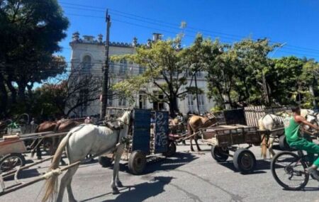 Carroceiros protestando no Centro do Recife.