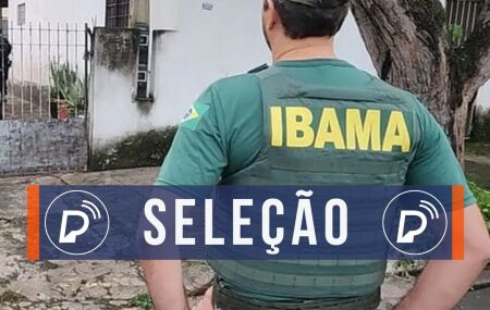 Processo seletivo do Ibama.