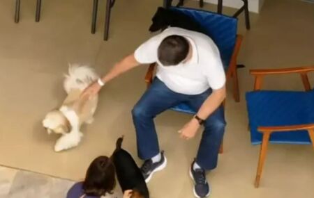 Bolsonaro &eacute; flagrado brincando com c&atilde;es ap&oacute;s receber alta e iniciar pris&atilde;o domiciliar