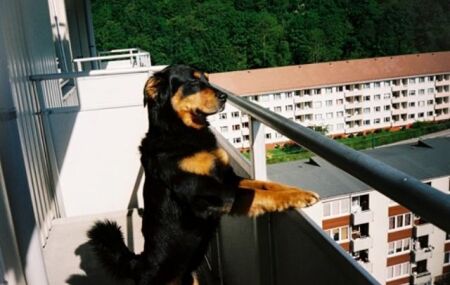 Lei do sil&ecirc;ncio 