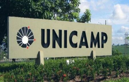 Universidade Estadual de Campinas (Unicamp). 