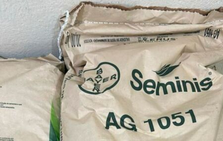 Prefeitura de Abreu e Lima come&ccedil;a a distribui&ccedil;&atilde;o das sementes de milho e adubo.