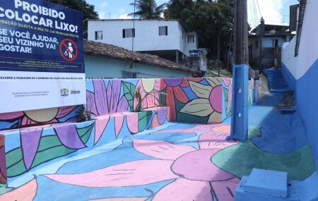 Jaboat&atilde;o revitaliza espa&ccedil;os. 