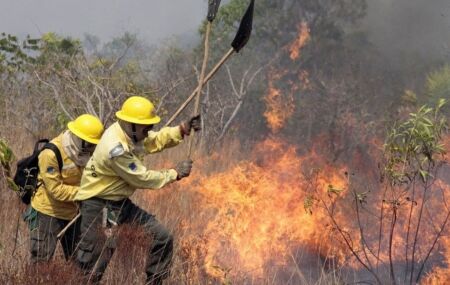 Brigadistas fazendo combate ao  Inc&ecirc;ndio florestal.