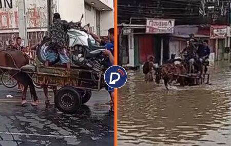 Cavalo puxa carro&ccedil;a para transportar moto em alagamento no Recife ap&oacute;s fortes chuvas.