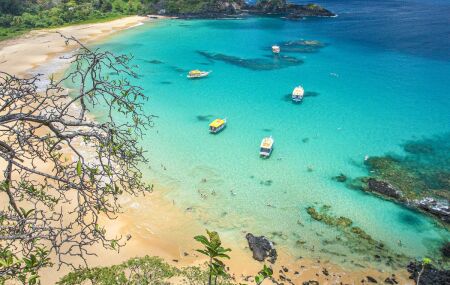Local &eacute; para&iacute;so restrito no territ&oacute;rio pernambucano.