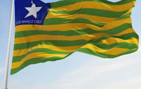 Bandeira do Piau&iacute;.