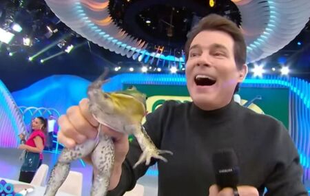 SBT &eacute; proibido de usar animais em programas de TV ap&oacute;s acusa&ccedil;&atilde;o de maus-tratos contra uma r&atilde;