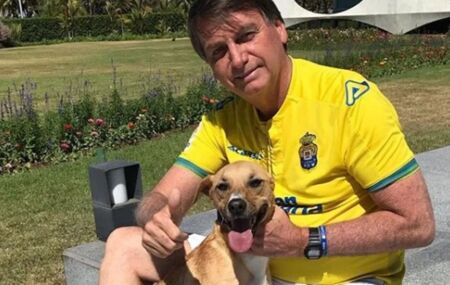 Cachorro caramelo de Bolsonaro morde policiais militares durante ronda de pris&atilde;o domiciliar