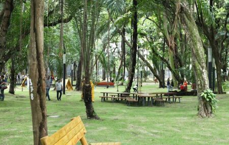Concerto no Parque da Tamarineira, no Recife.